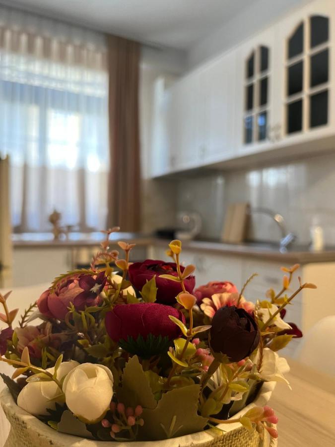 Sael Apartments Shkodër Eksteriør bilde
